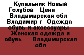 Купальник Новый Голубой › Цена ­ 999 - Владимирская обл., Владимир г. Одежда, обувь и аксессуары » Женская одежда и обувь   . Владимирская обл.